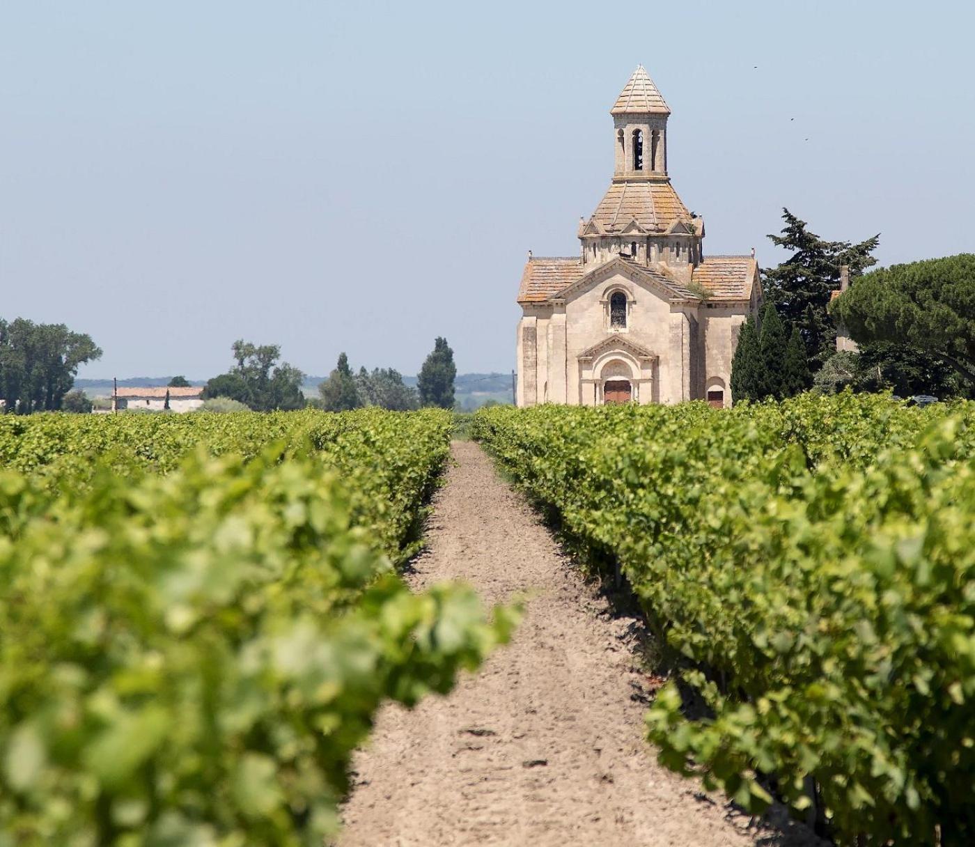 Bord Du Canal Du Rhone A Sete Sur "Cesar" فاوفيرت المظهر الخارجي الصورة